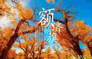 vAʹI^51𣬸^Ό֏_